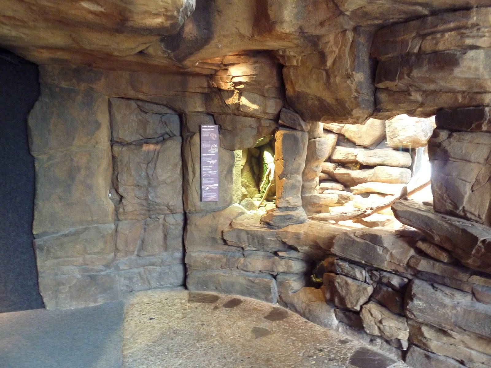 Animal Planet Australia: Wild Extremes