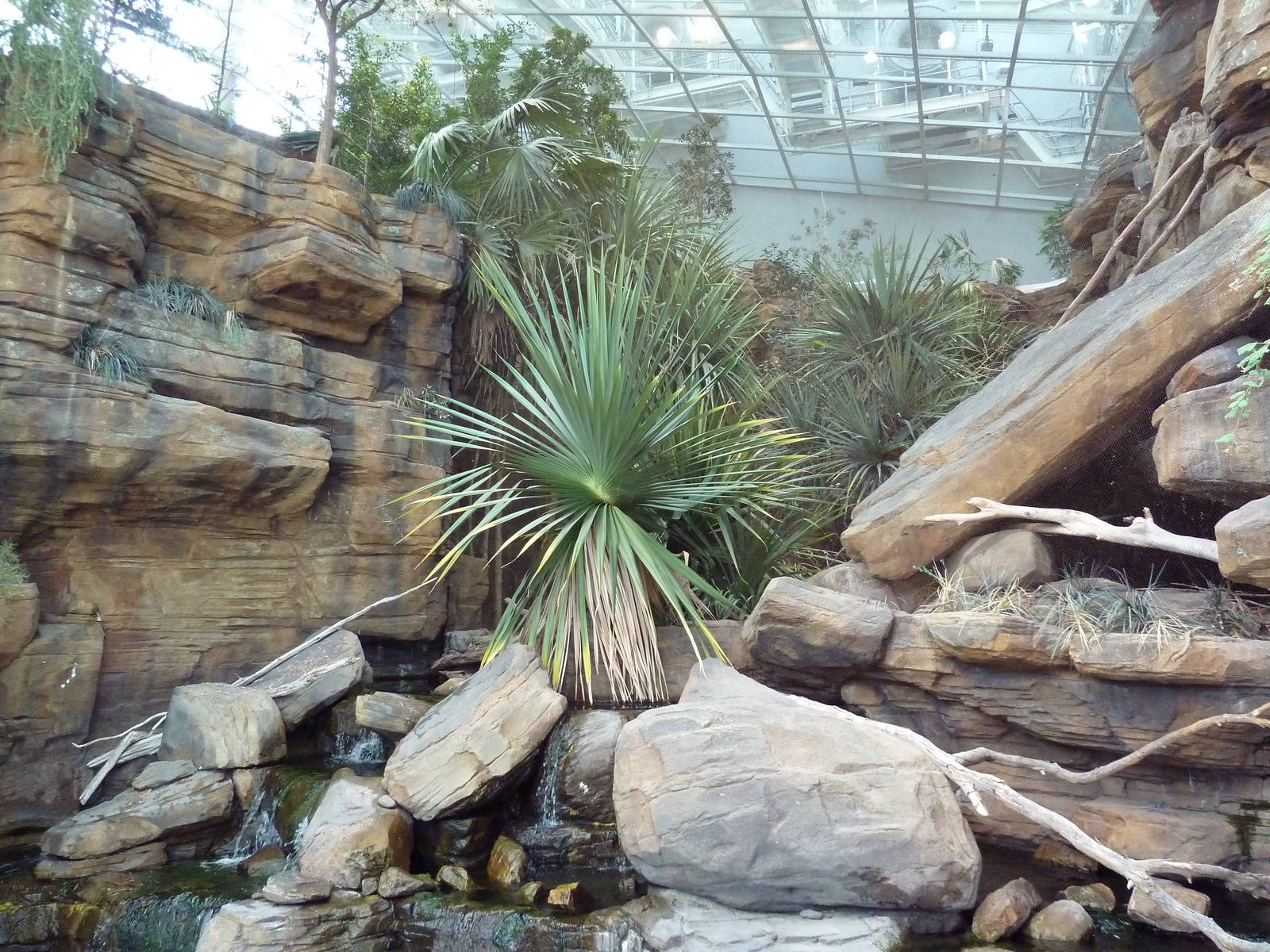 Animal Planet Australia: Wild Extremes