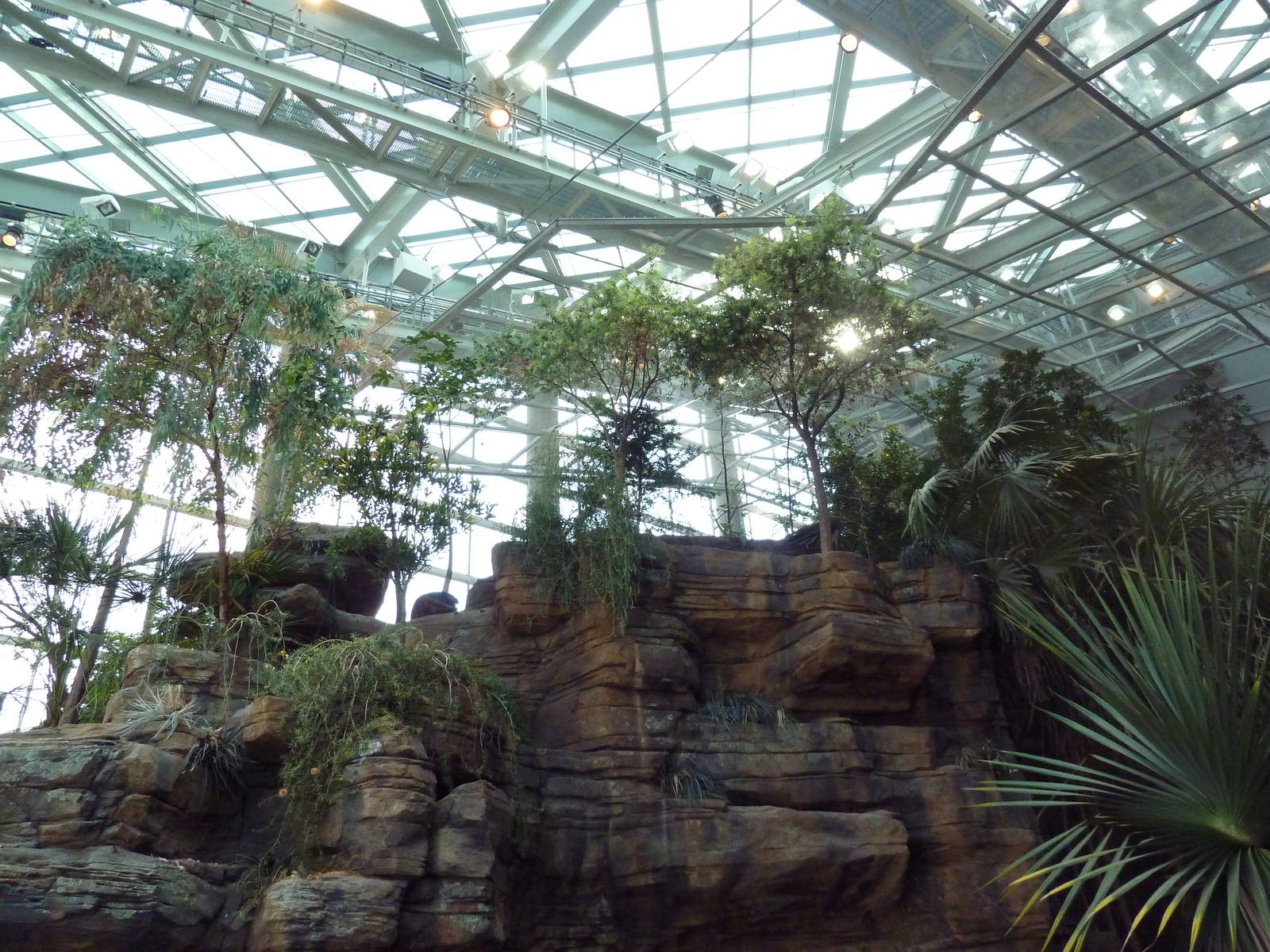 Animal Planet Australia: Wild Extremes