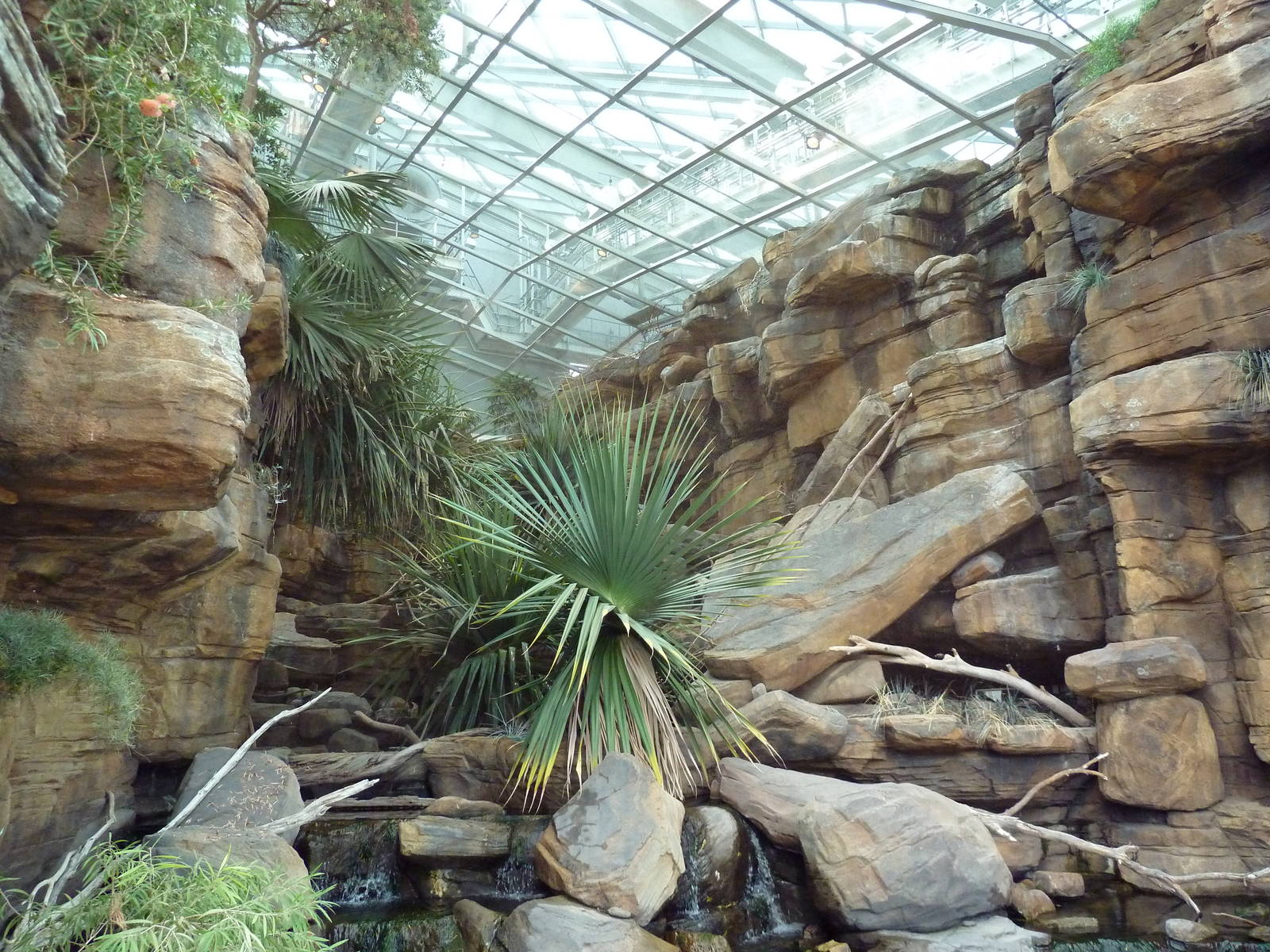 Animal Planet Australia: Wild Extremes