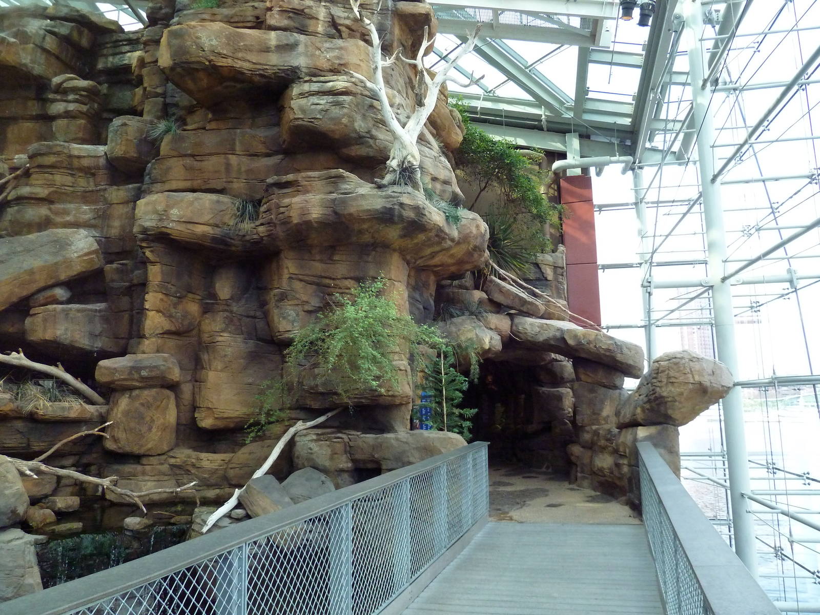 Animal Planet Australia: Wild Extremes