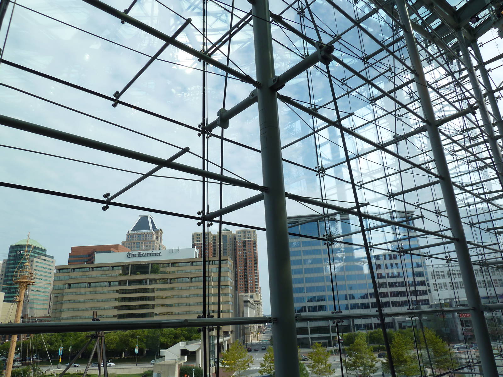 Animal Planet Australia: Wild Extremes