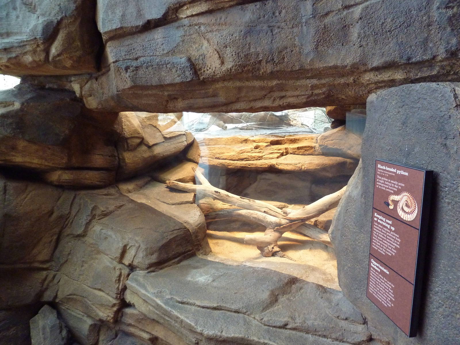 Animal Planet Australia: Wild Extremes