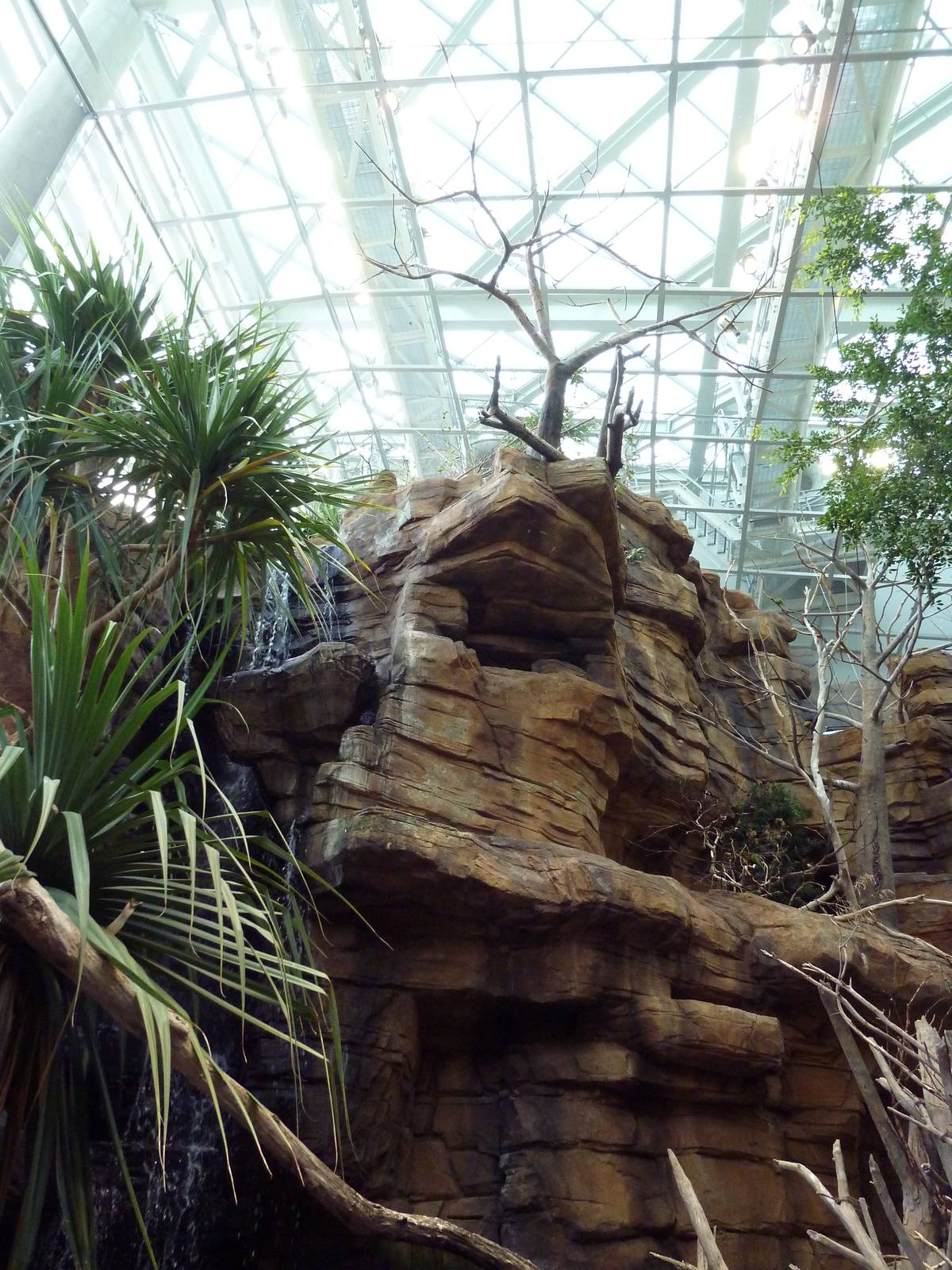 Animal Planet Australia: Wild Extremes