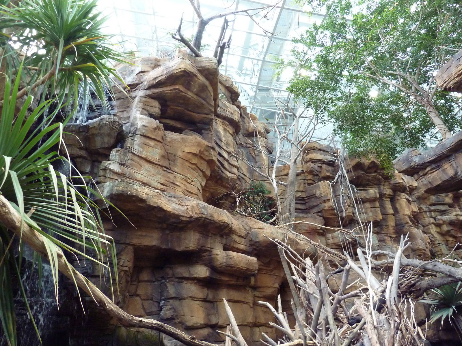 Animal Planet Australia: Wild Extremes