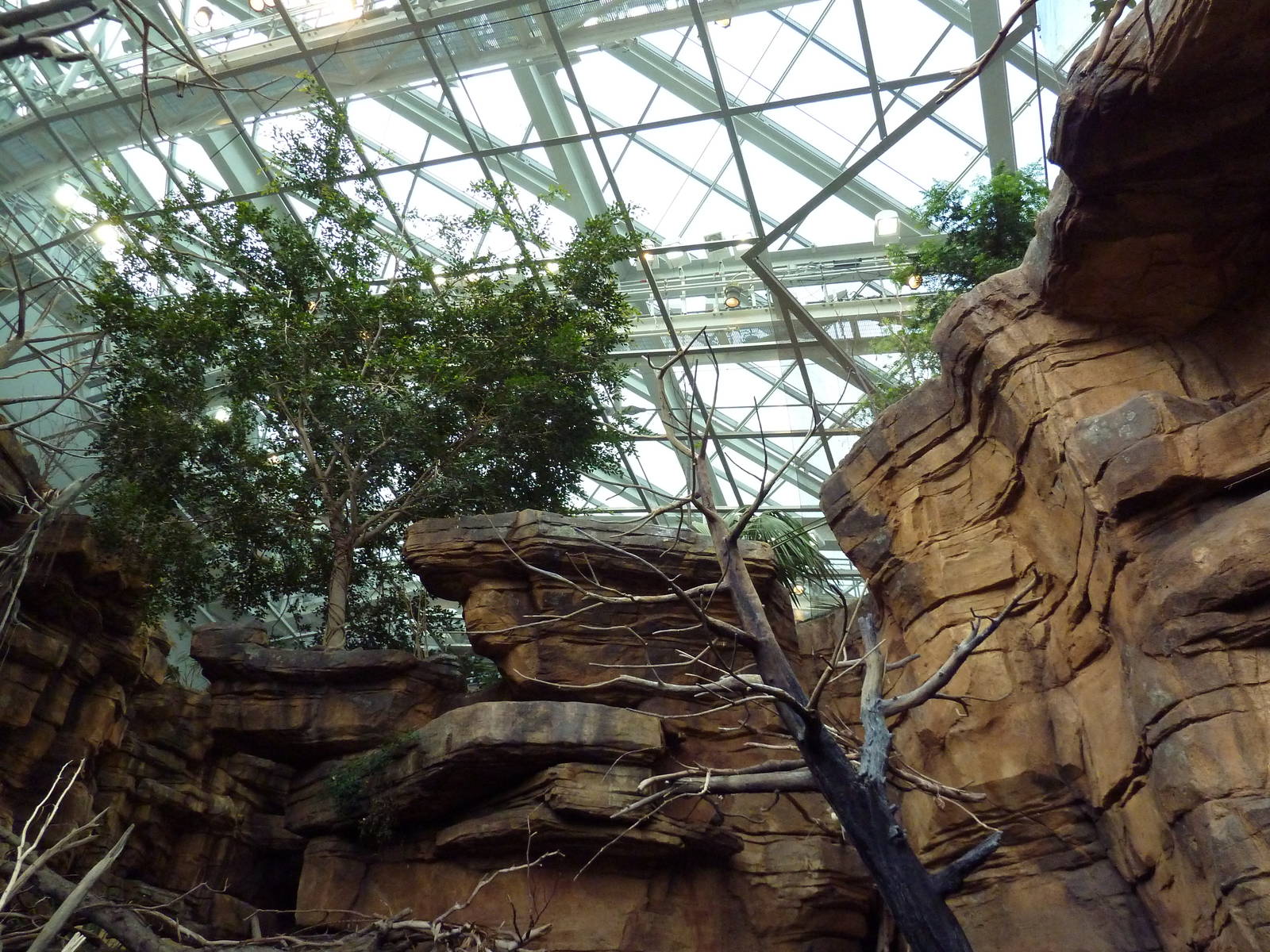 Animal Planet Australia: Wild Extremes