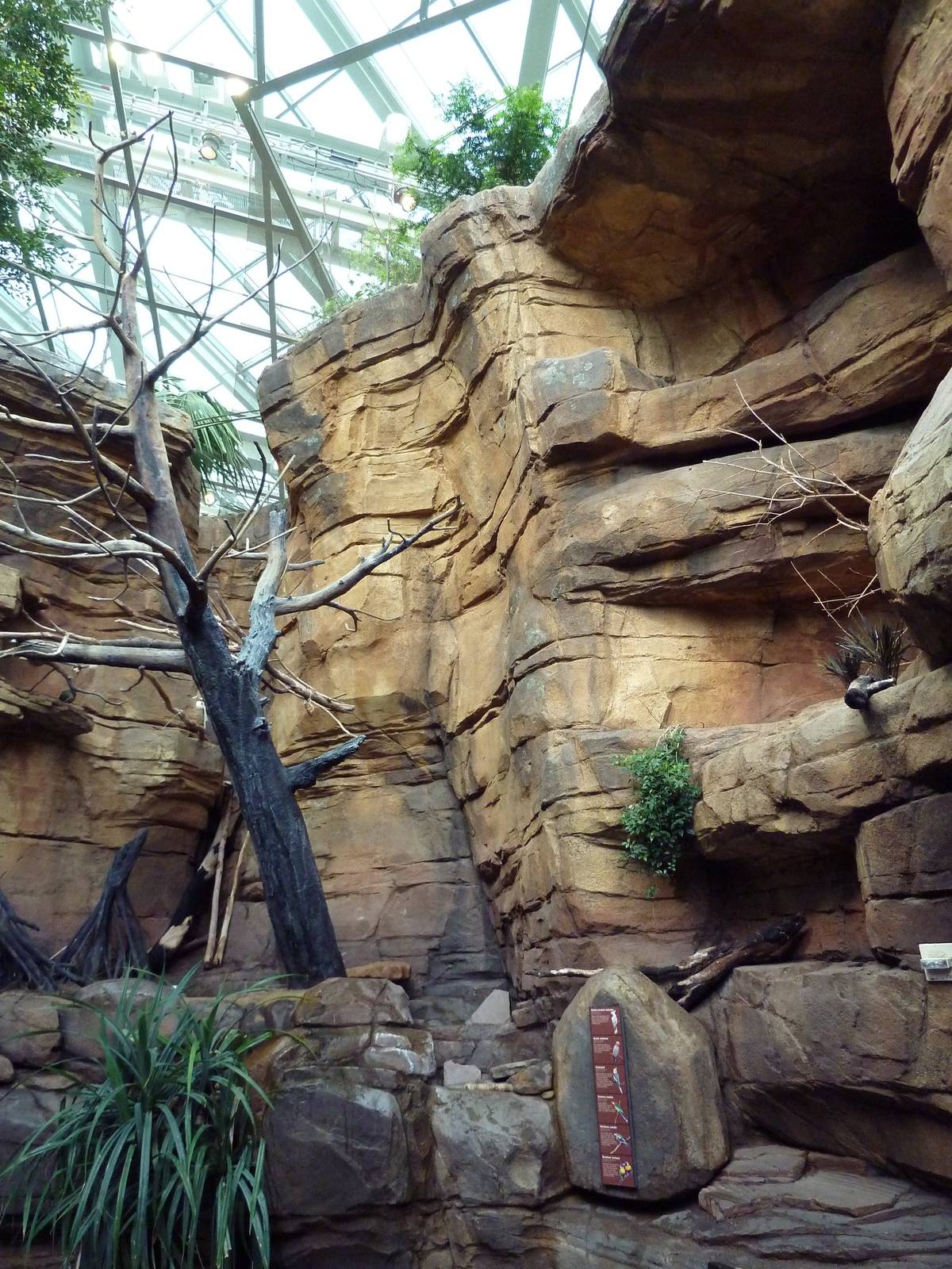 Animal Planet Australia: Wild Extremes