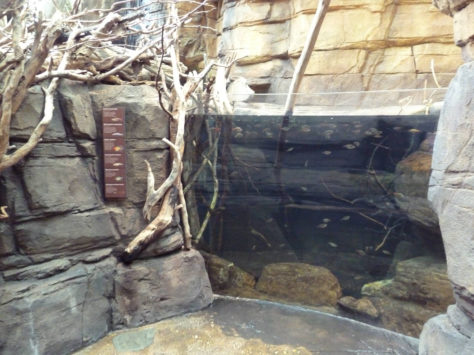 Animal Planet Australia: Wild Extremes