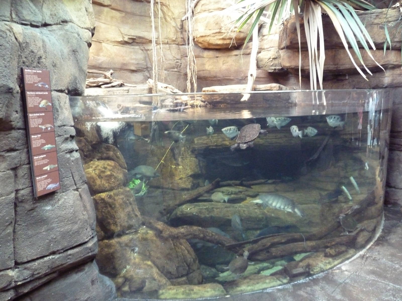 Animal Planet Australia: Wild Extremes