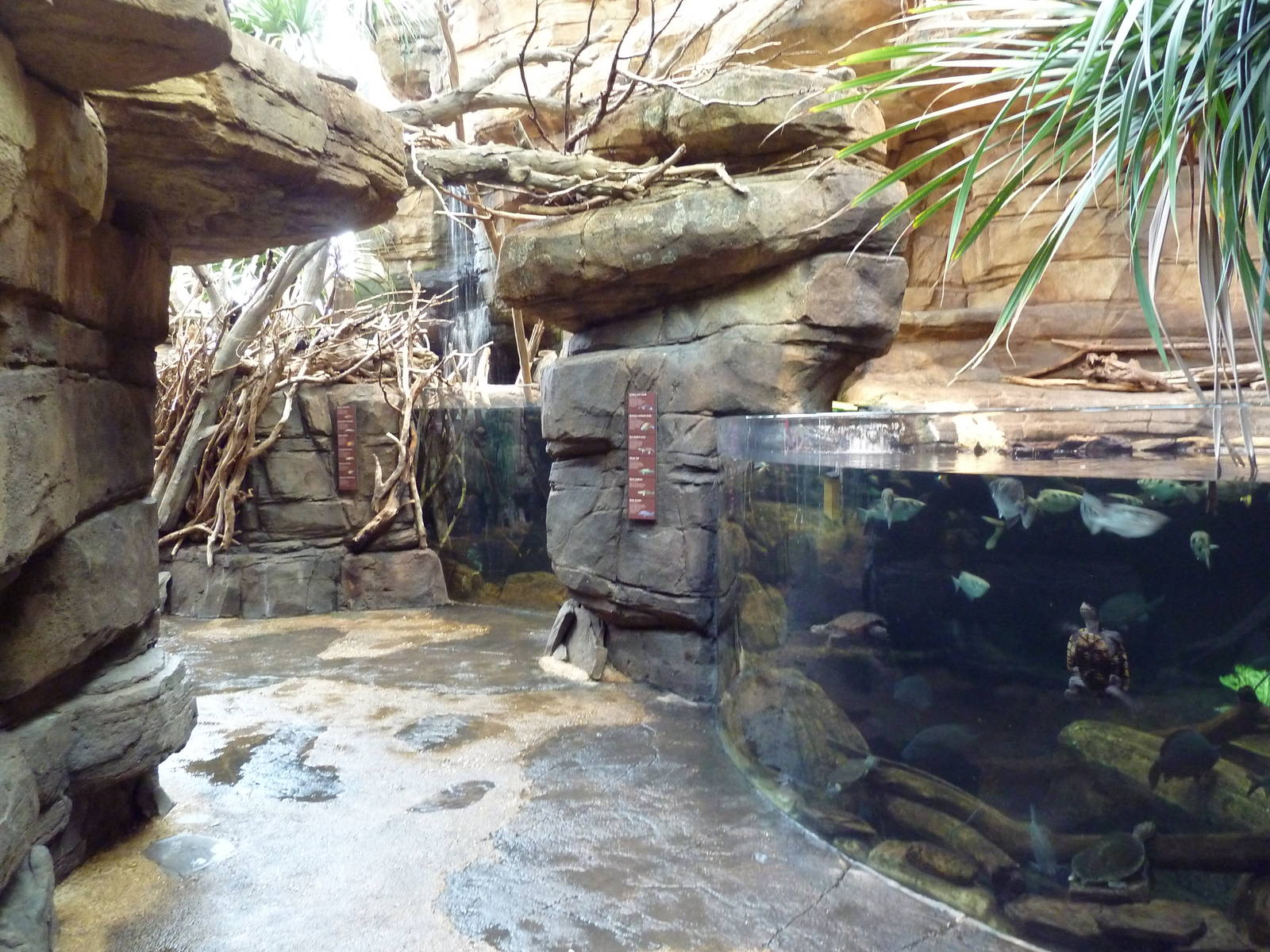 Animal Planet Australia: Wild Extremes