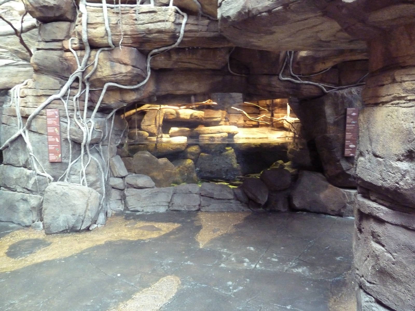 Animal Planet Australia: Wild Extremes