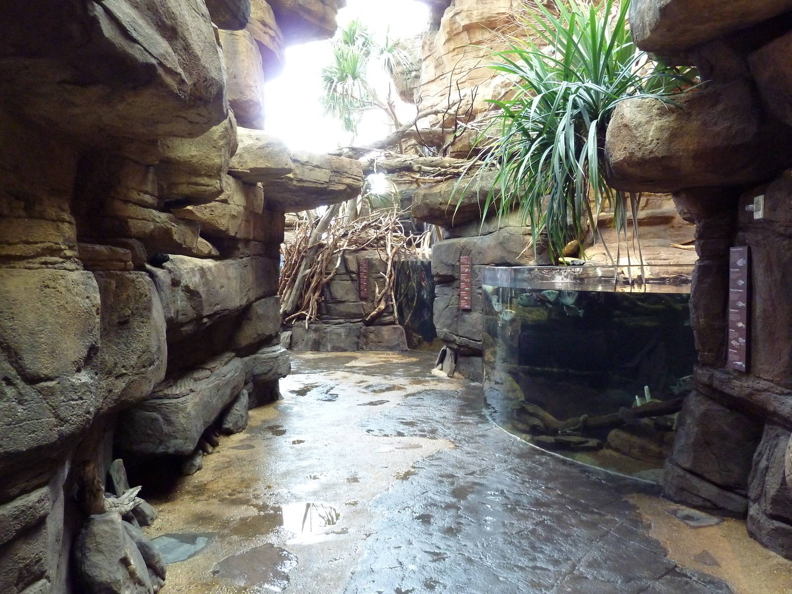 Animal Planet Australia: Wild Extremes