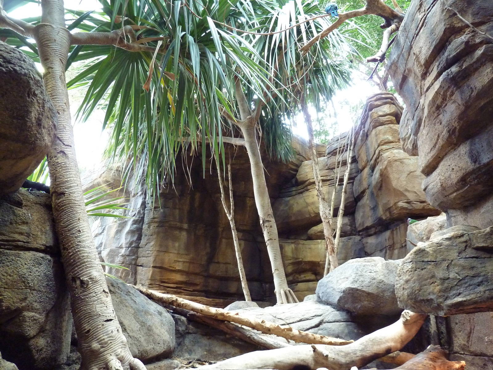 Animal Planet Australia: Wild Extremes