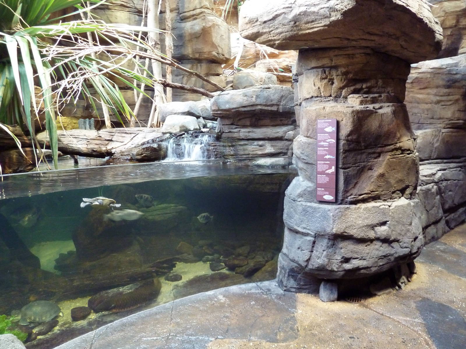 Animal Planet Australia: Wild Extremes