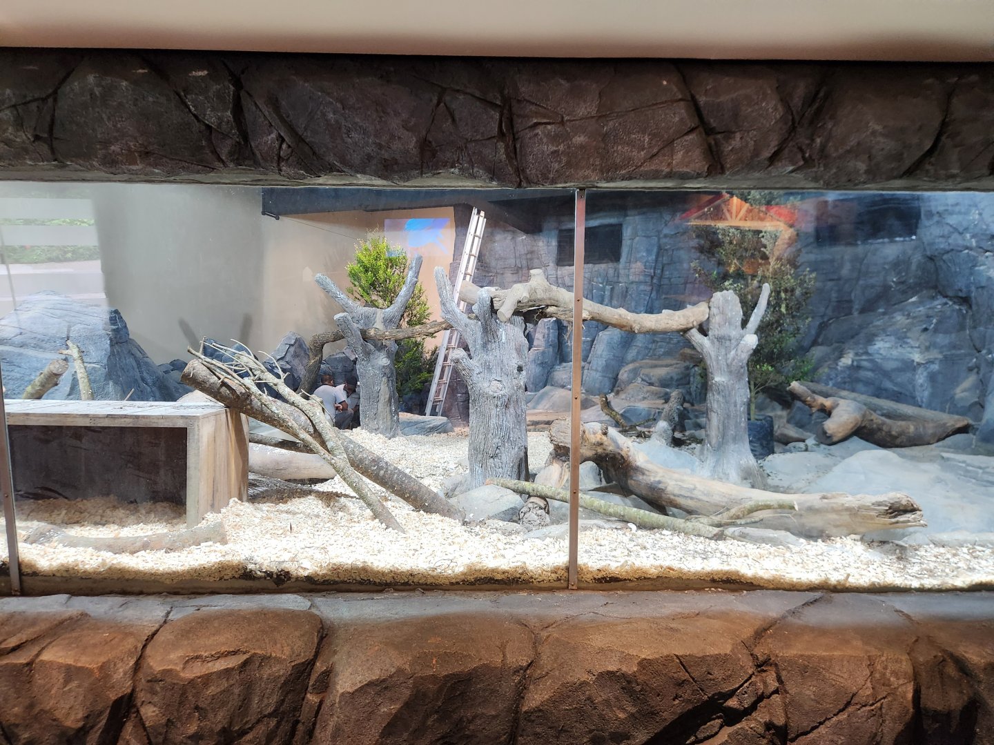 Animal Playground- Reptile exhibit