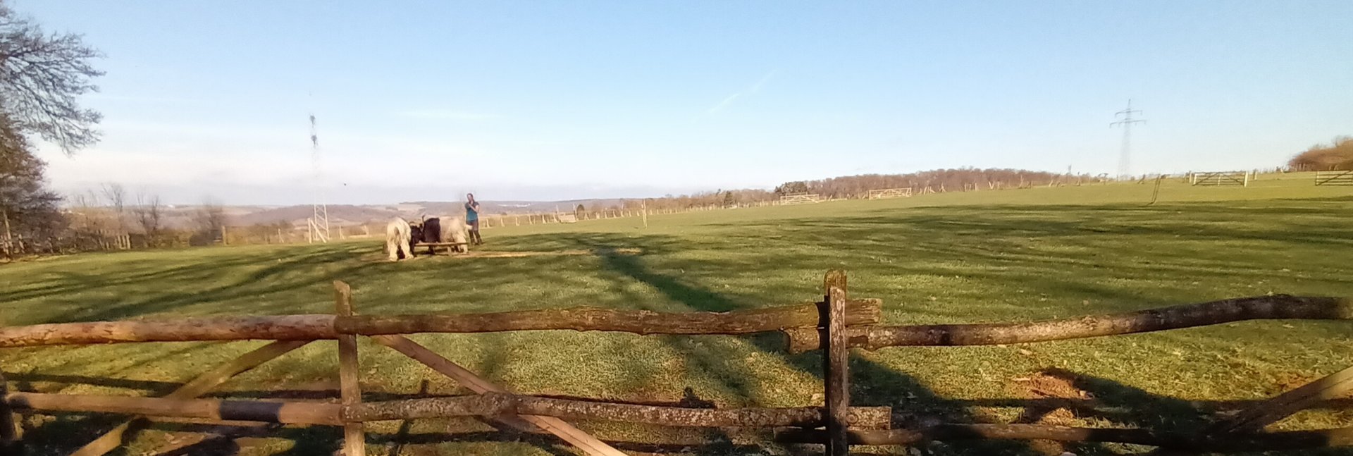 Animal Presentation Enclosure