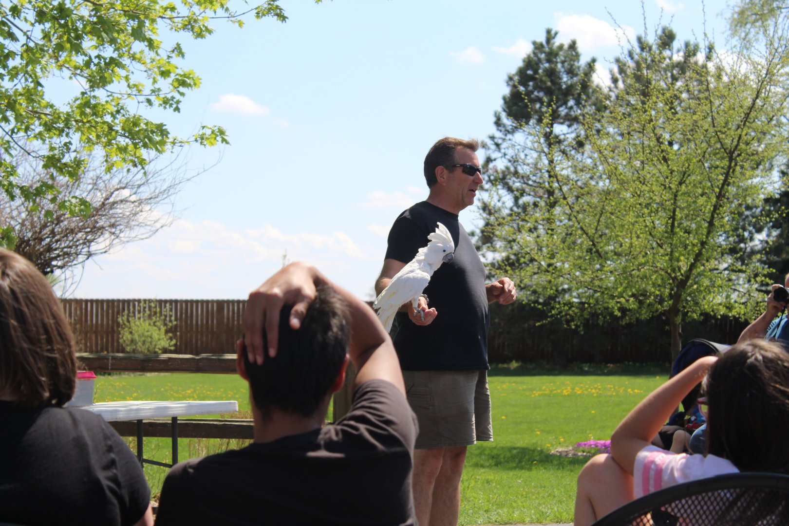 Animal Presentatuion - Umbrella Cockatoo