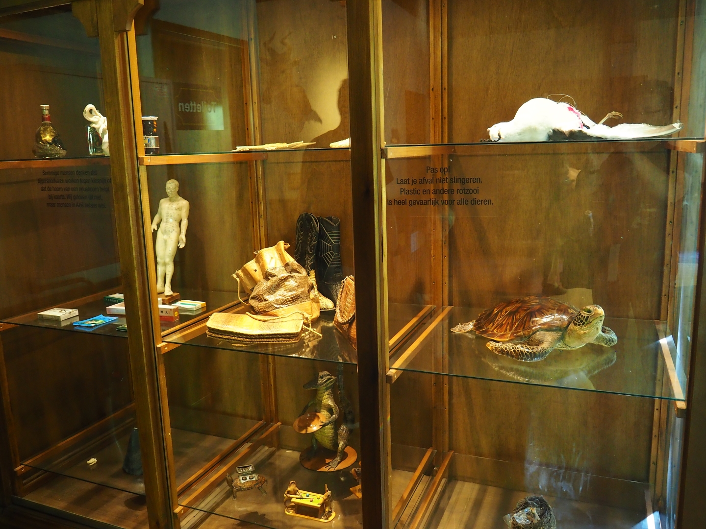 Animal products not to buy anywhere display case