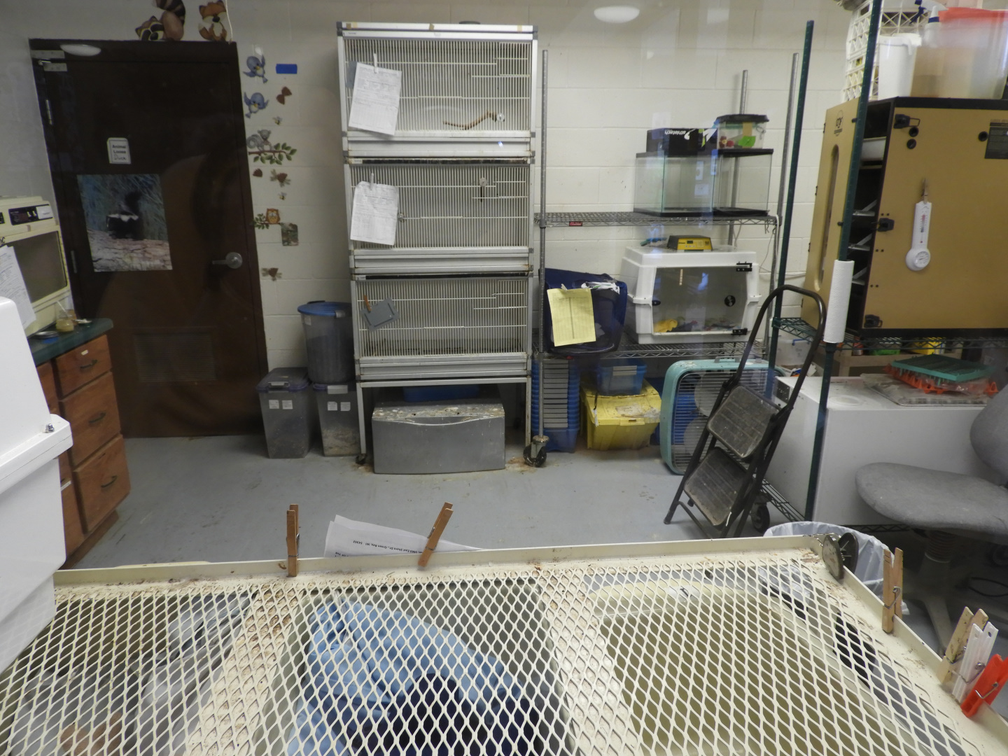 Animal rehabilitation center