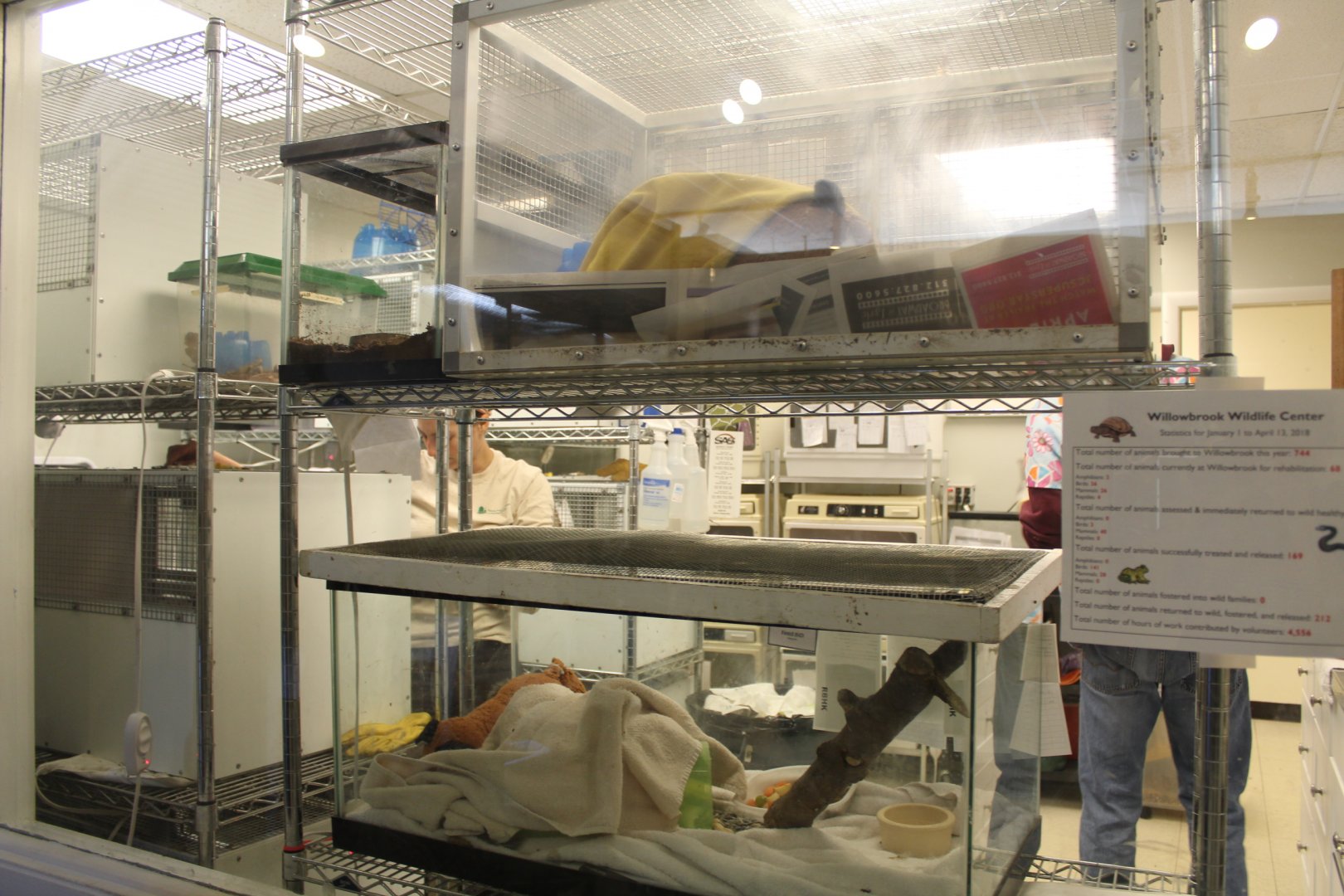 Animal Rehibilitation Center (Gray Squirrels Here Now)