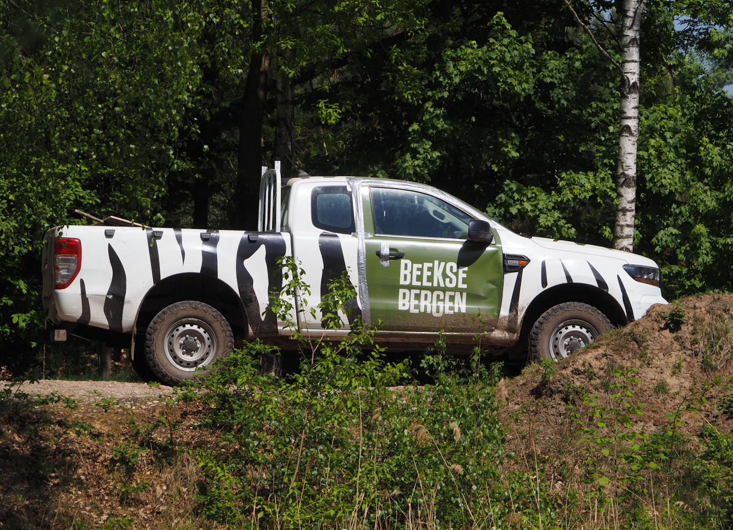 Animal service pick-up truck, 2025-04-30