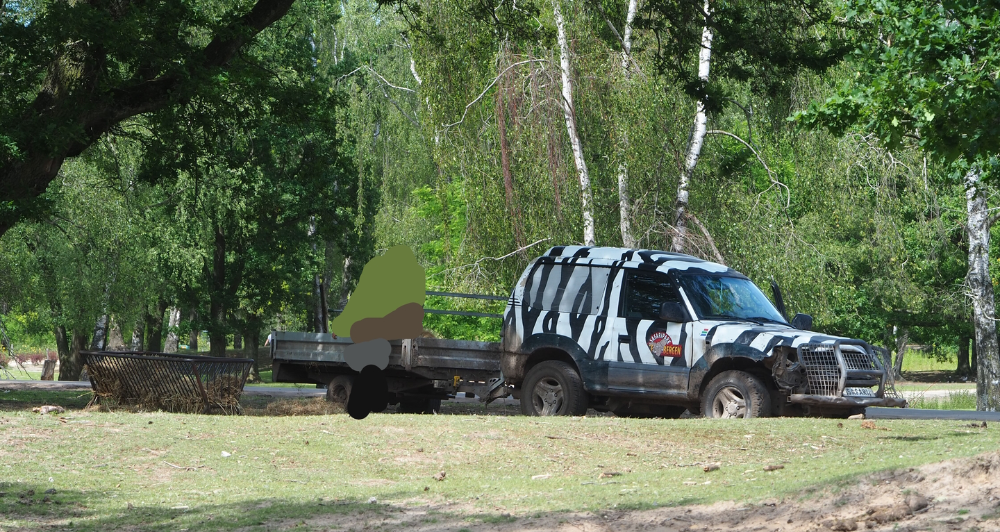 Animal service vehicle, 2022-06-12