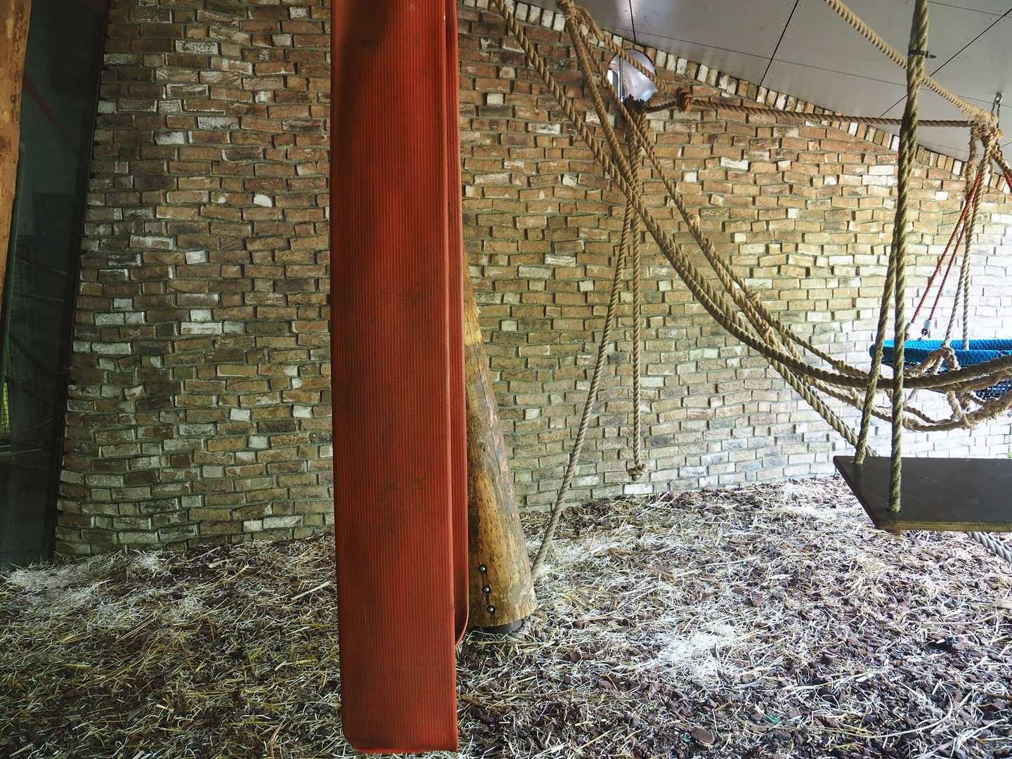 Animal shelter under the roof of the gorilla building, 2022-08-20