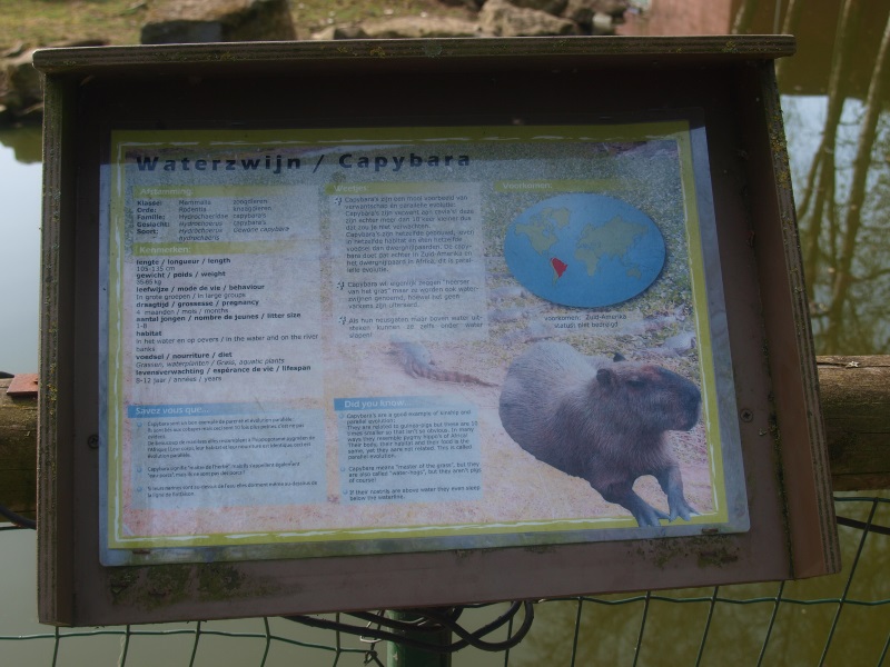 Animal sign, old style (April 19th, 2015)