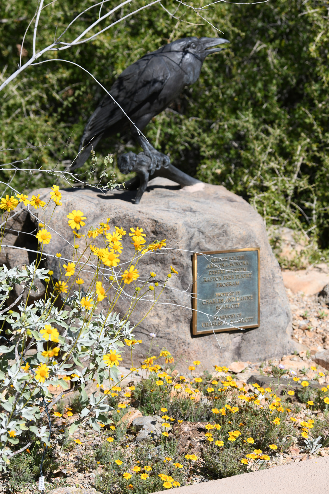 animal statue and live animal