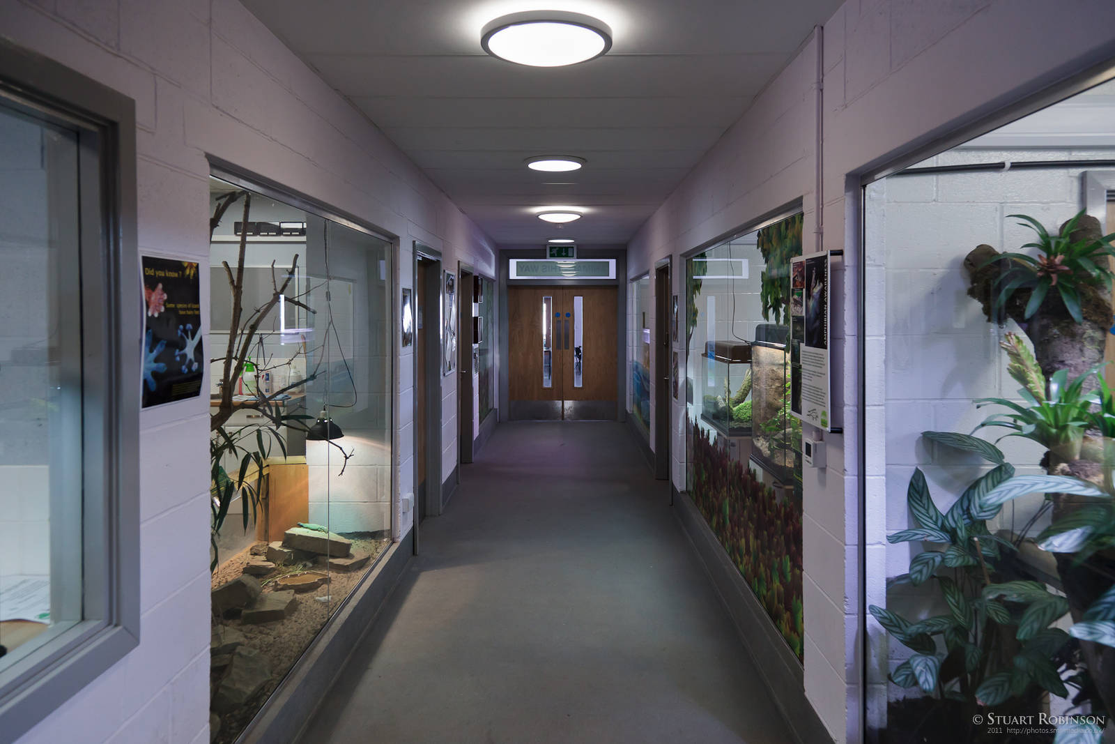 Animal Study Corridor - 23/07/2011