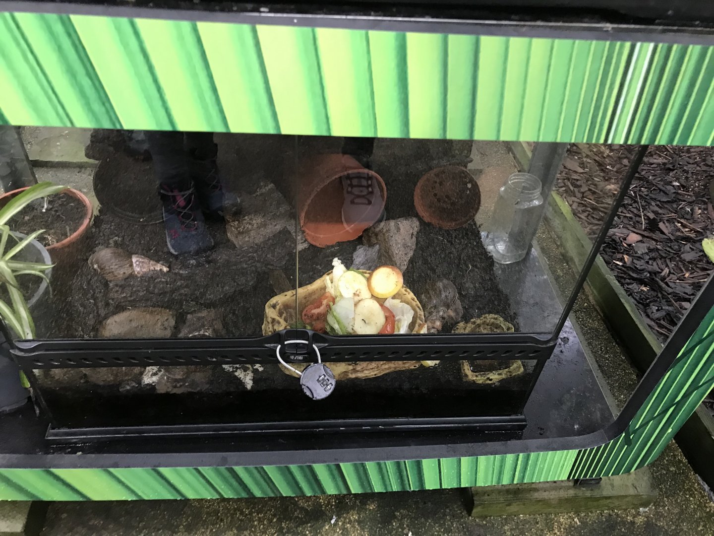 Animal tank @ Landmark forest adventure park