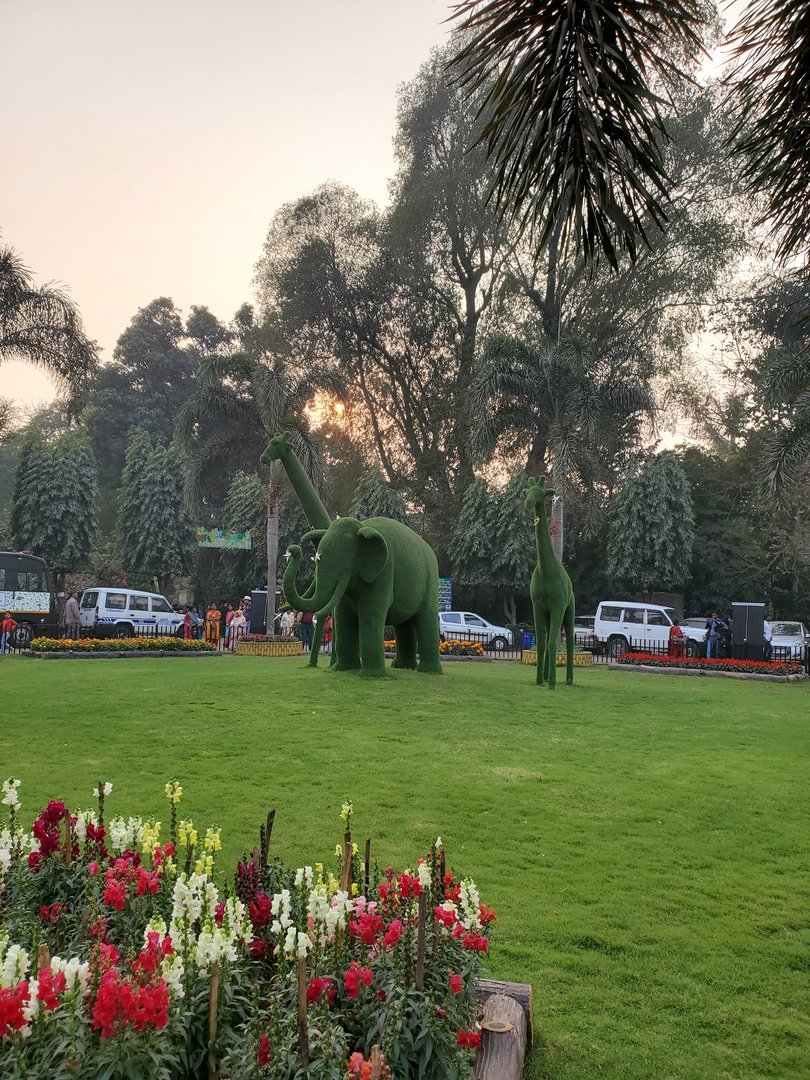 Animal Topiaries - January 2023