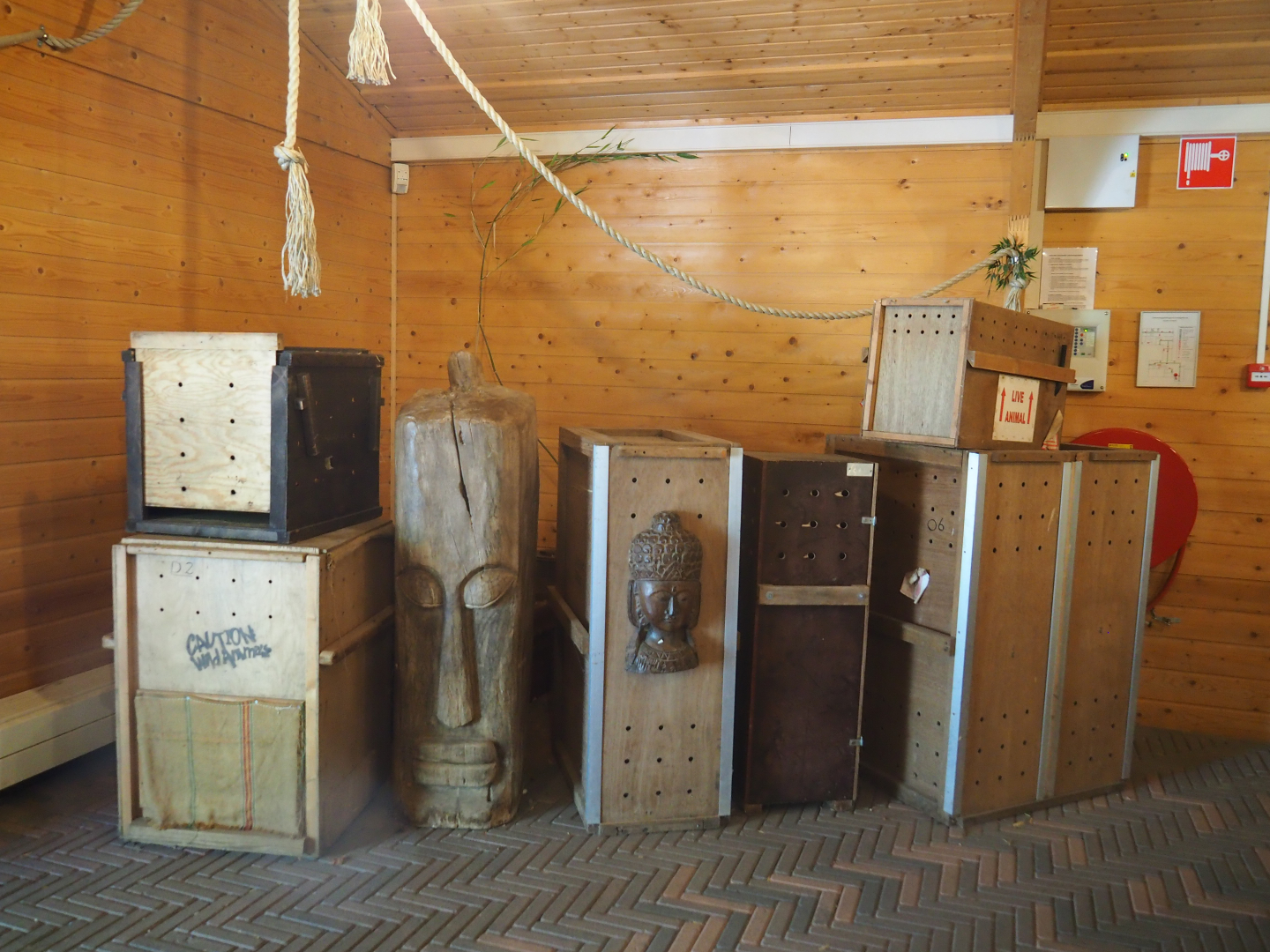 Animal transport crates and exotic masks, 2019-08-11