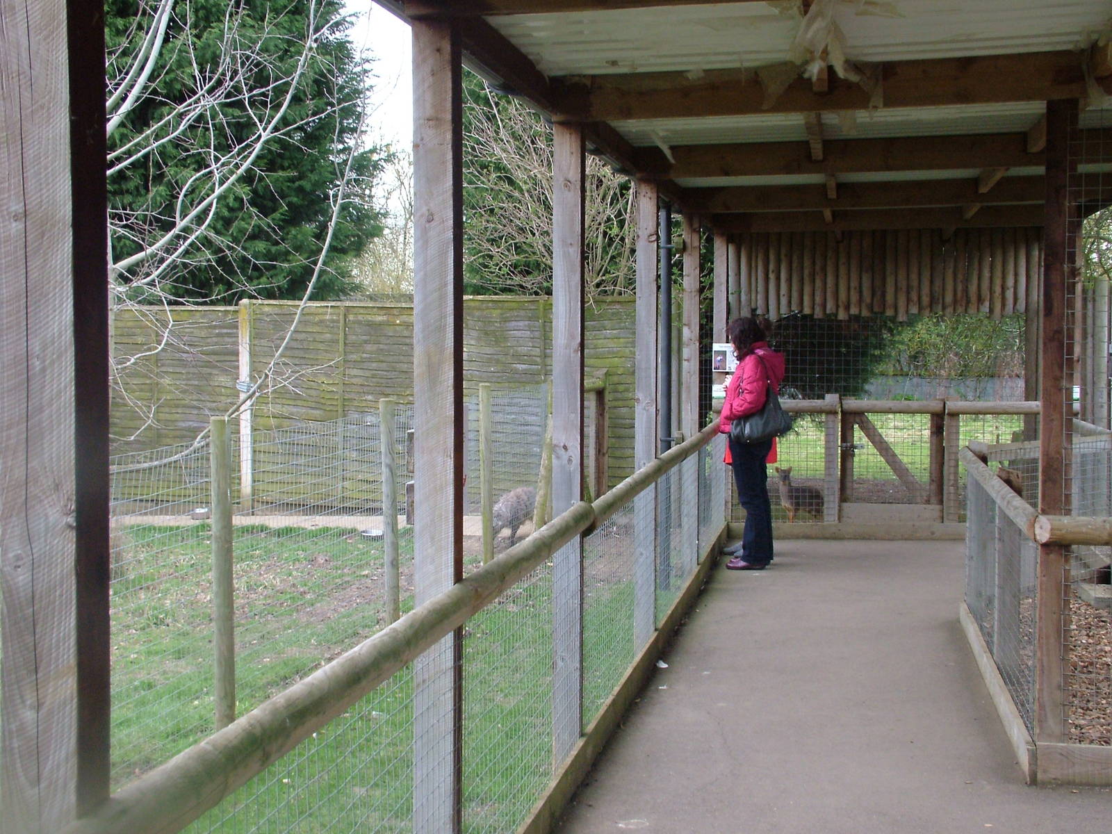 Animal viewing at Hamerton 05/04/10