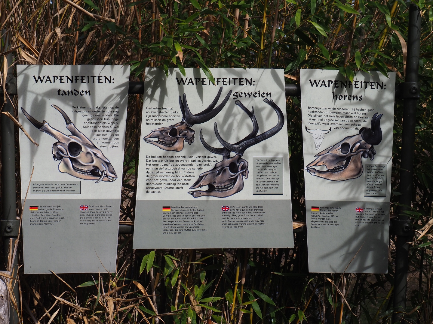 Animal weaponry signs (Sep 16th, 2018)