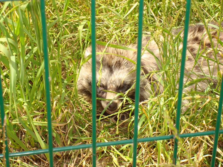 Animal Zone, Penkridge, Staffs.