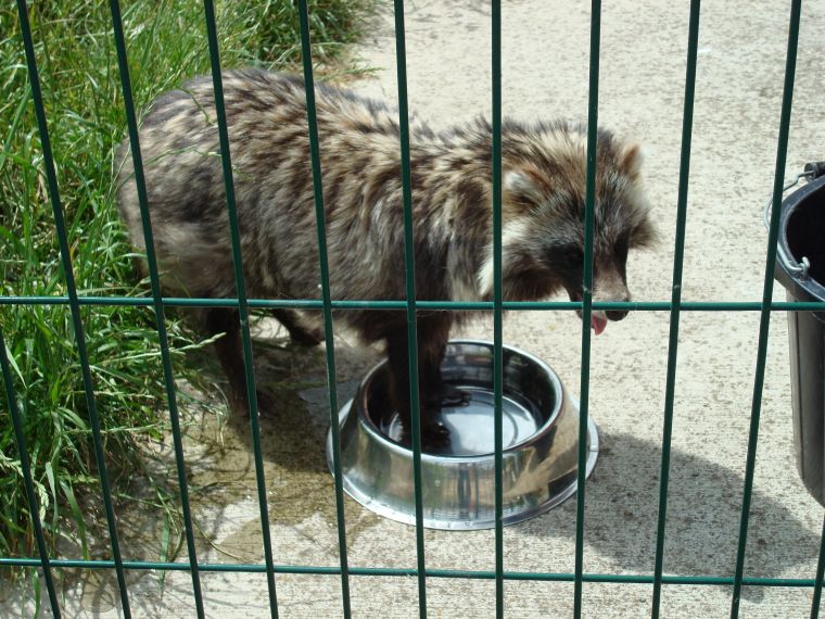 Animal Zone, Penkridge, Staffs.