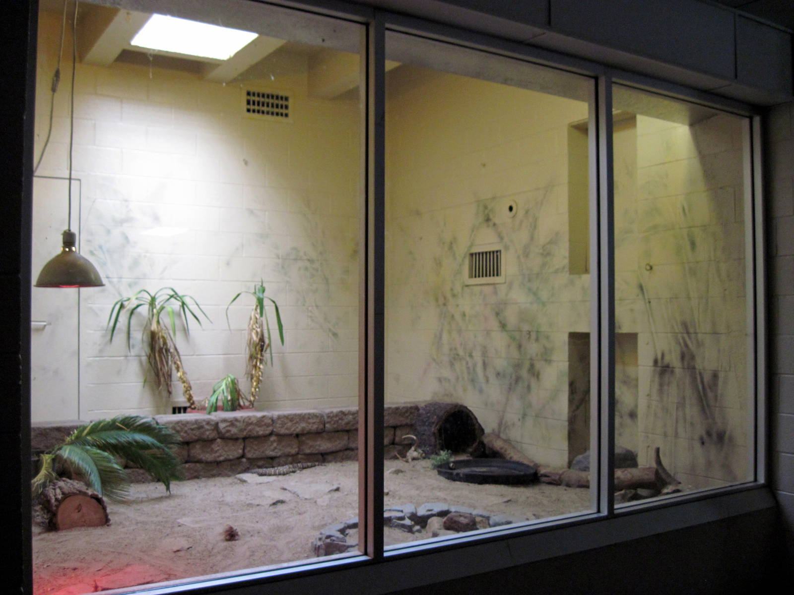 Animals and Man-Beaded Lizards Exhibit