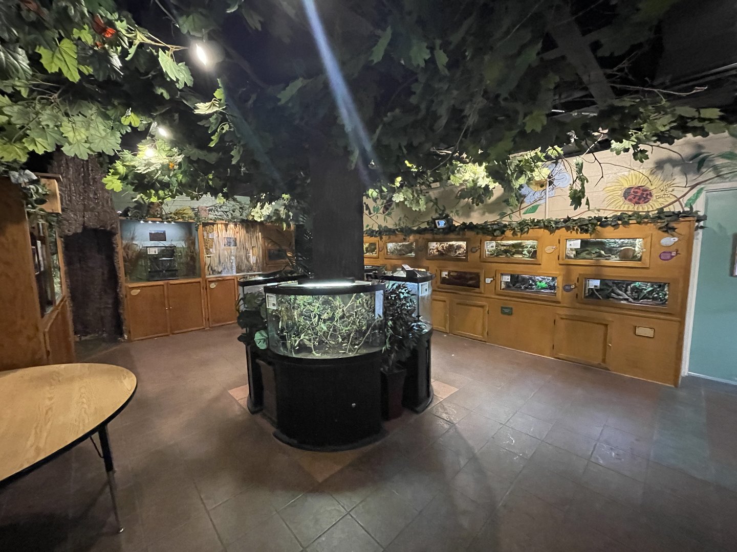 Animals and Man Building - Bug Zoo