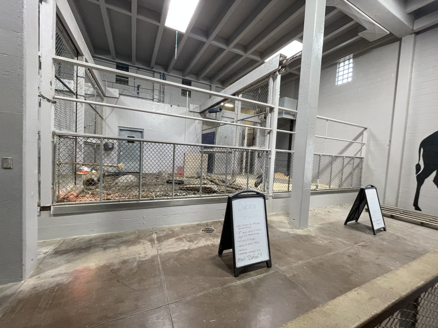 Animals and Man Building - Sulcata Tortoise and African Crowned Crane Exhibits