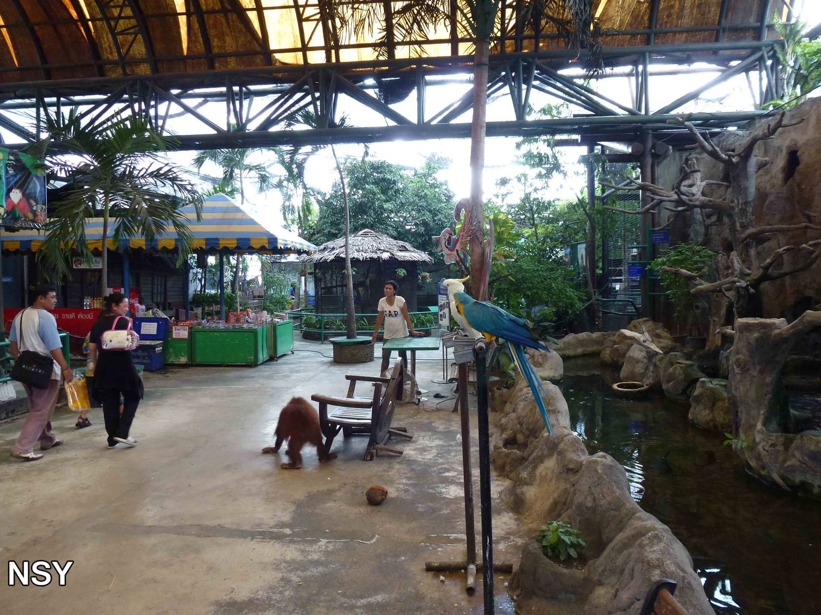 Animals as photo props - upper floor, June 2013.