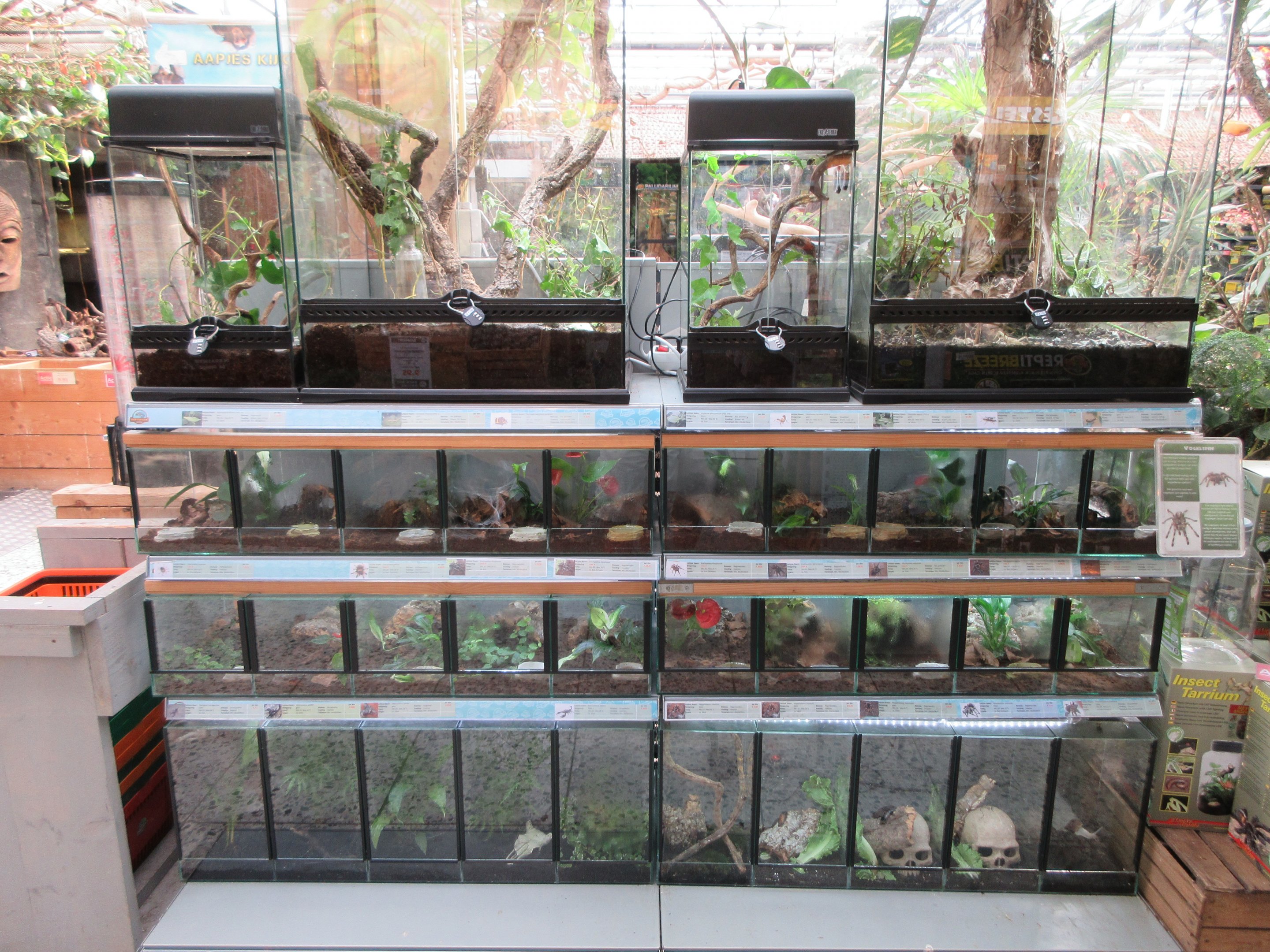 Animals for sale (pet shop section)