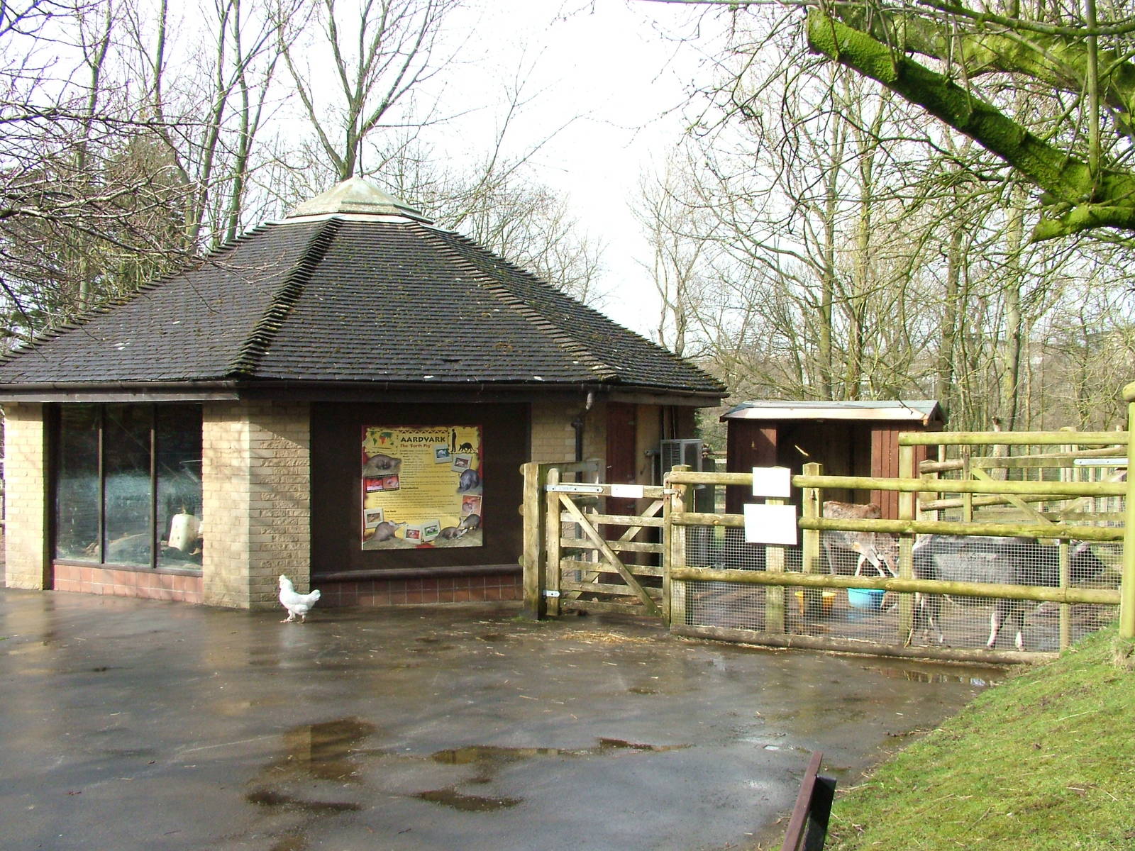 Animals from A-Z at Blackpool 26/03/10