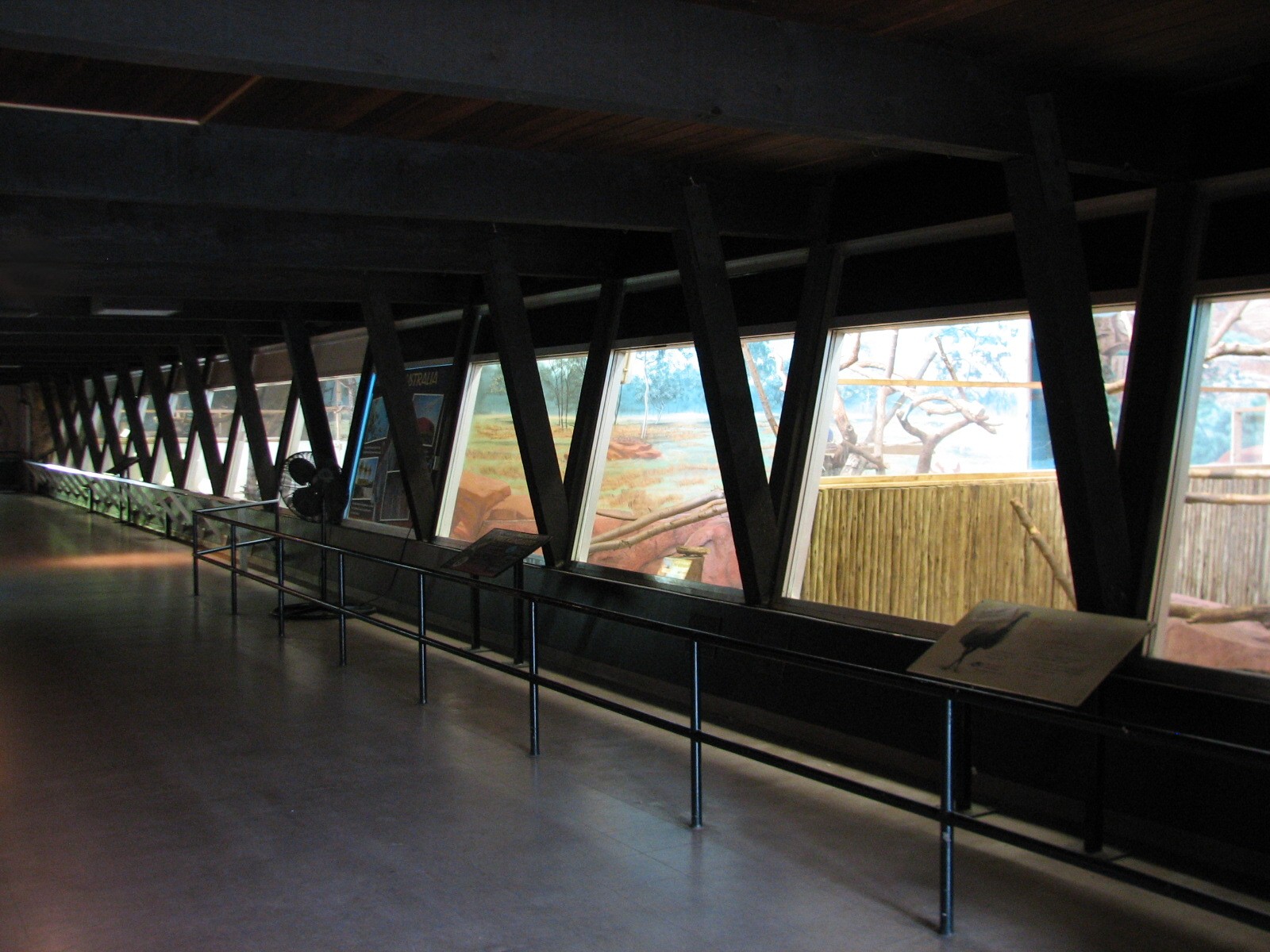 Animals of Australia - Building Interior