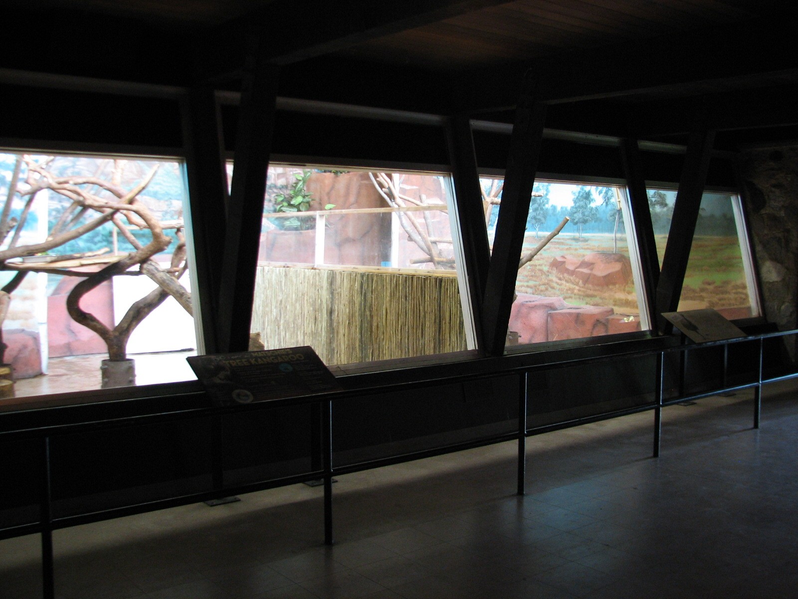 Animals of Australia - Emu and Matschies Tree Kangaroo Bedrooms