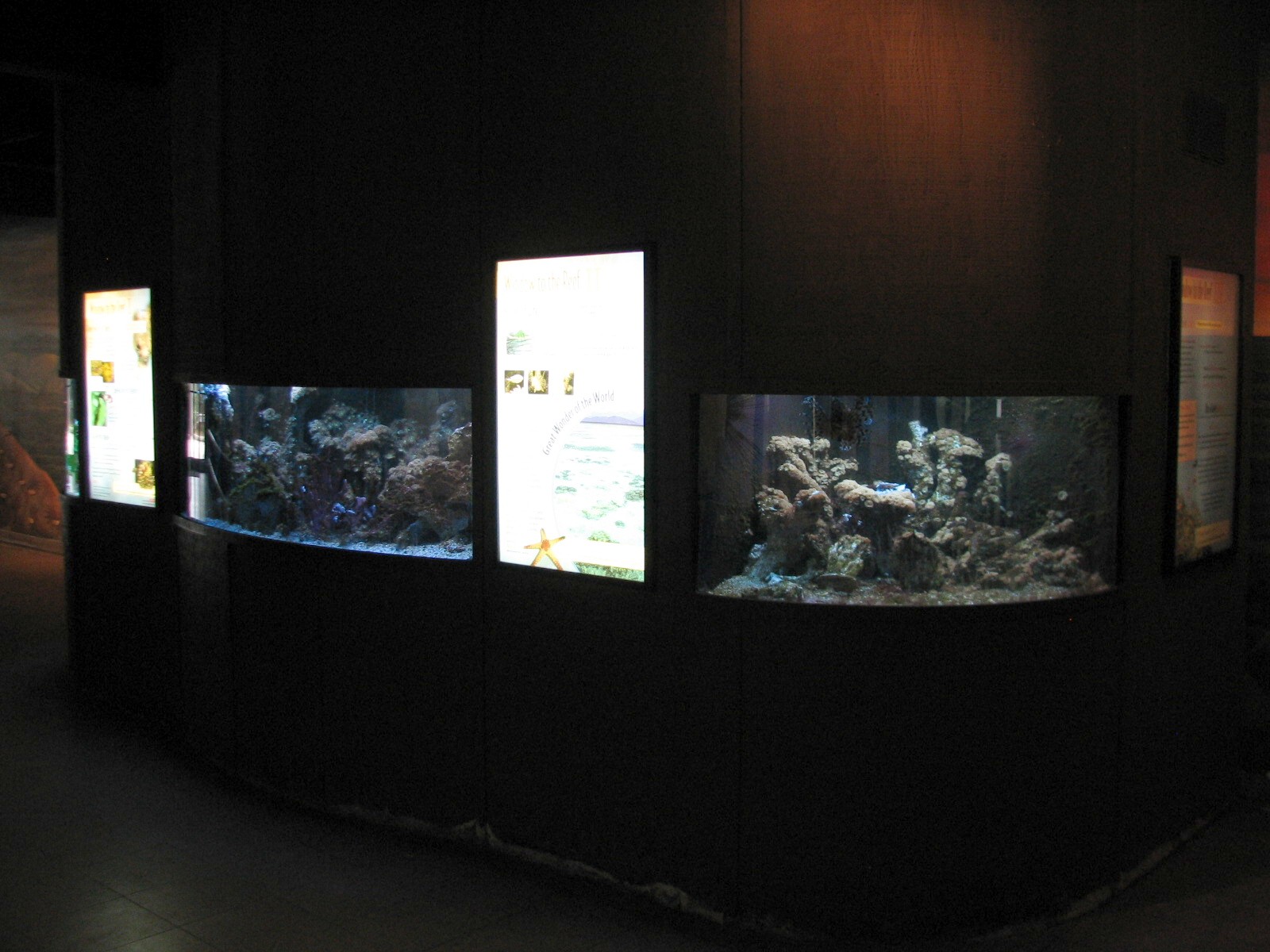 Animals of Australia - Great Barrier Reef Aquariums