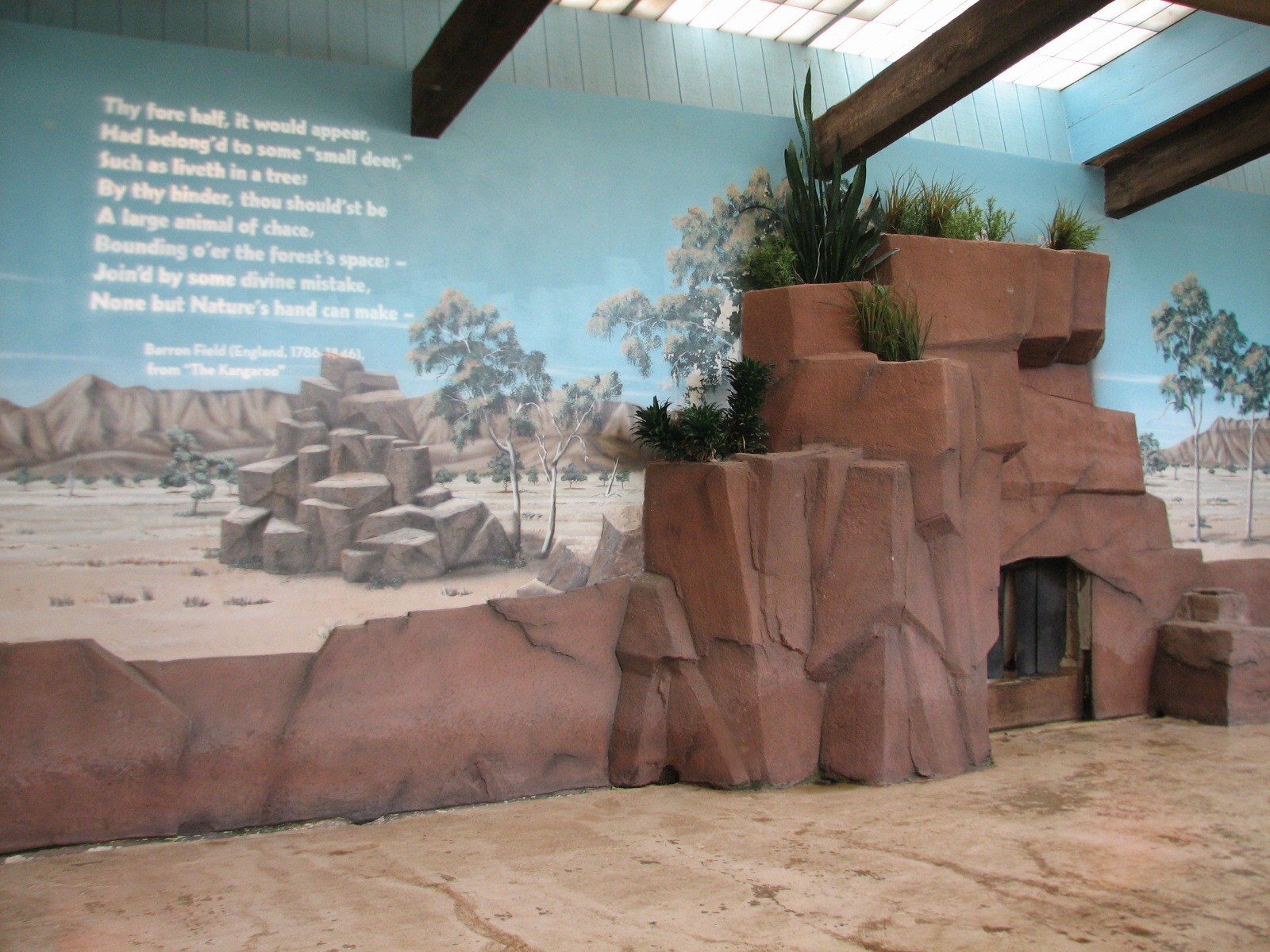 Animals of Australia - Red Kangaroo Bedroom