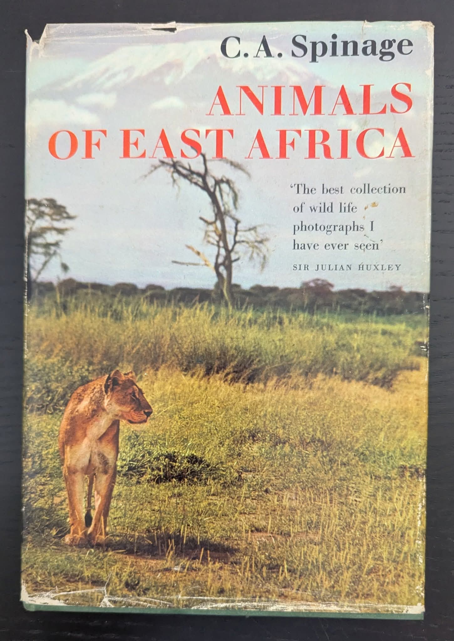Animals of East Africa