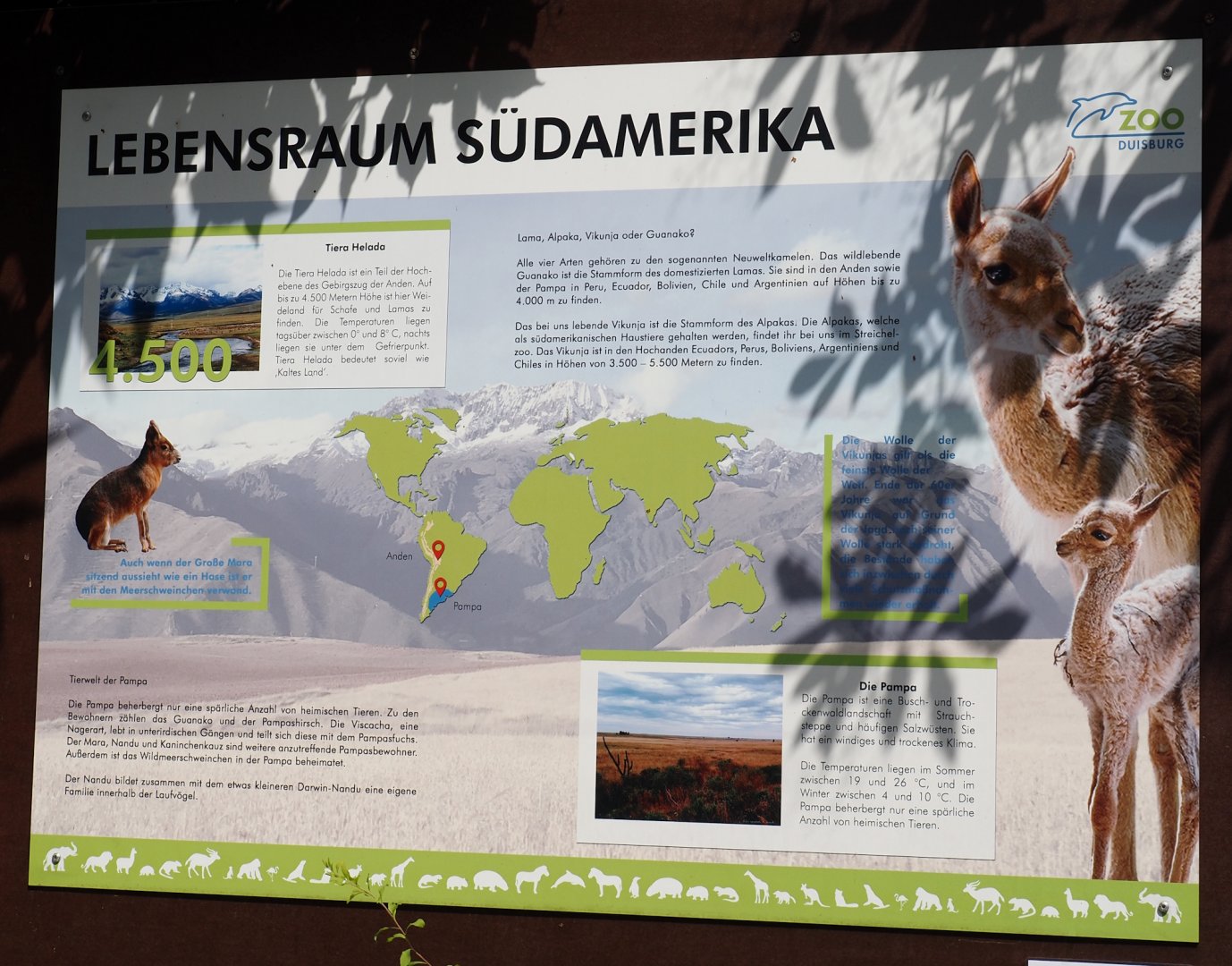 Animals of the Andes and the Pampas signage, 2024-06-08