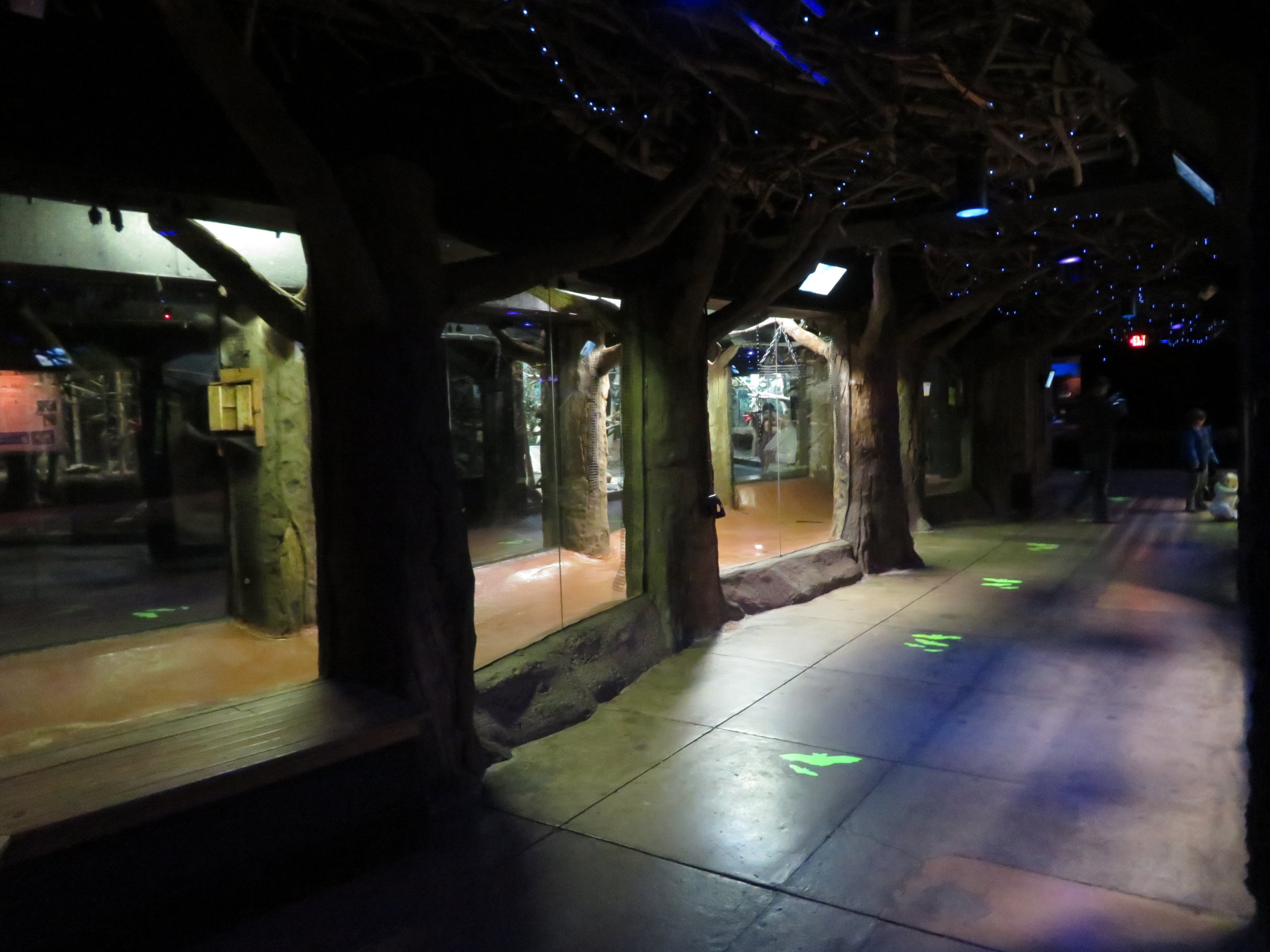 Animals of the Night Interior/Bat Exhibit